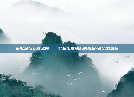 在电流与心跳之间，一个音乐发烧友的独白-音乐发烧友