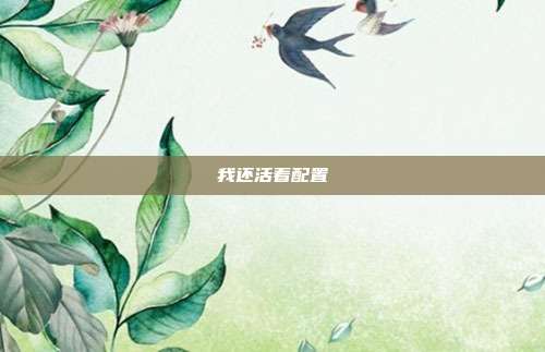 我还活着配置