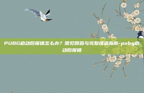 PUBG启动后报错怎么办?常见原因与完整排查指南-pubg启动后报错