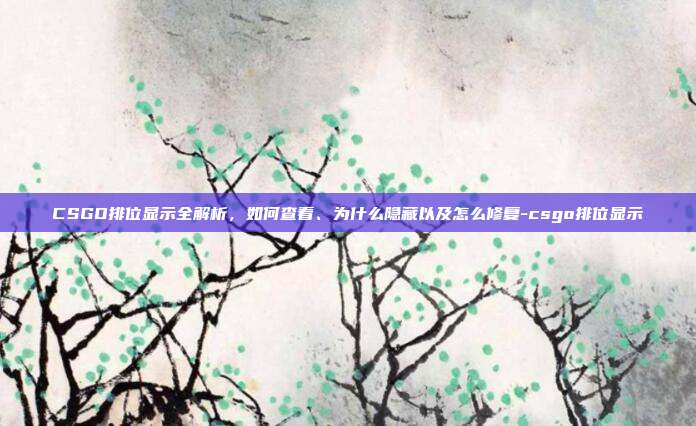 CSGO排位显示全解析，如何查看、为什么隐藏以及怎么修复-csgo排位显示
