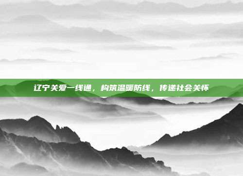 辽宁关爱一线通，构筑温暖防线，传递社会关怀