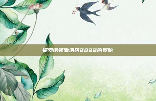 探索诺顿激活码2022的奥秘