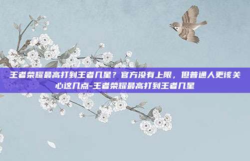 王者荣耀最高打到王者几星?官方没有上限,但普通人更该关心这几点-王者荣耀最高打到王者几星