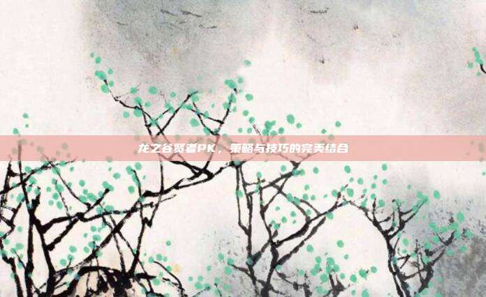 龙之谷贤者PK，策略与技巧的完美结合