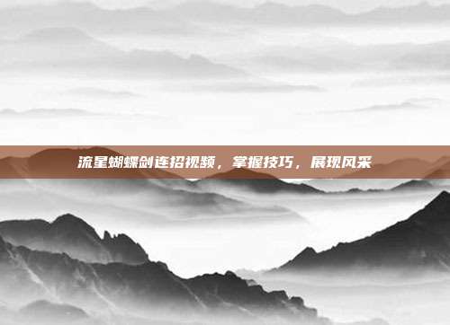 流星蝴蝶剑连招视频,掌握技巧,展现风采