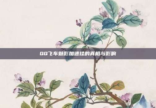 QQ飞车魅影加速挂的真相与影响
