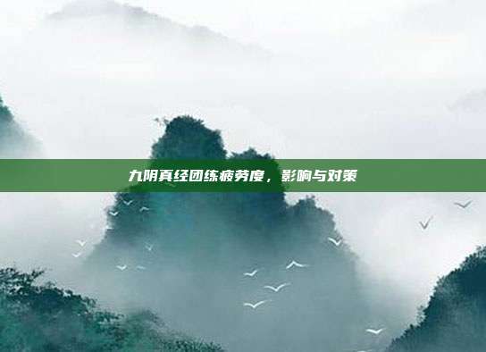 九阴真经团练疲劳度,影响与对策