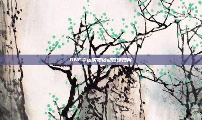 DNF幸运购物活动在哪抽奖