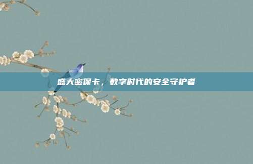 盛大密保卡,数字时代的安全守护者