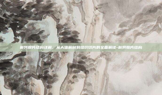 前列腺片结构详解,从大体解剖到组织切片的全面解读-前列腺片结构