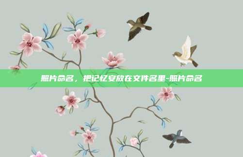 照片命名,把记忆安放在文件名里-照片命名
