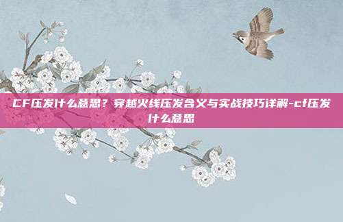 CF压发什么意思?穿越火线压发含义与实战技巧详解-cf压发什么意思