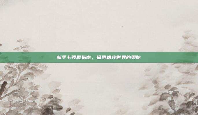 新手卡领取指南，探索极光世界的奥秘