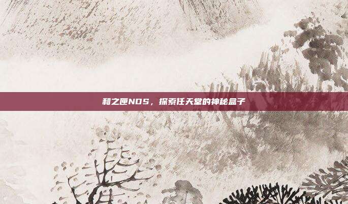 和之匣NDS,探索任天堂的神秘盒子