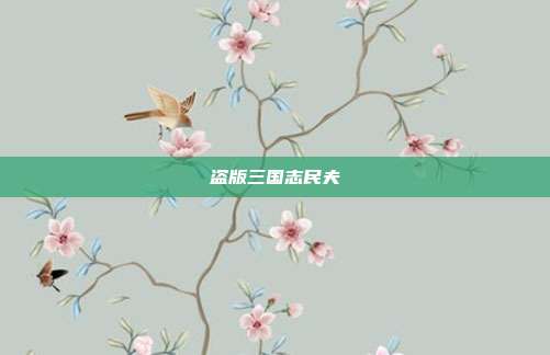 盗版三国志民夫