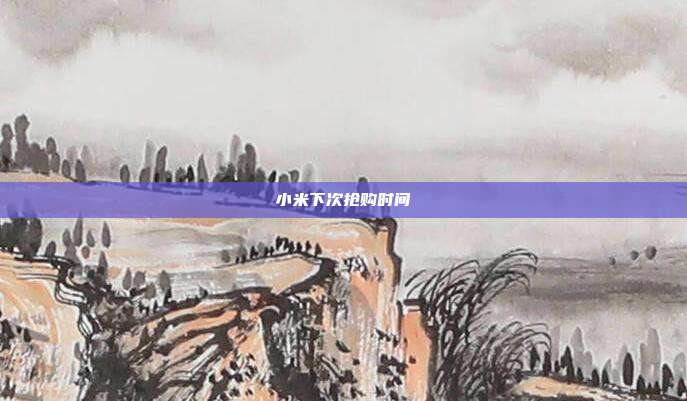小米下次抢购时间