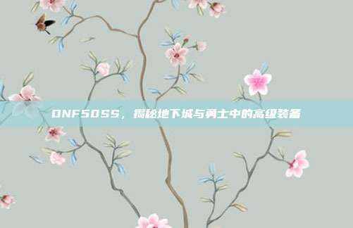 DNF50SS,揭秘地下城与勇士中的高级装备