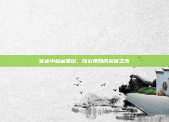 征途中级藏宝图,探索未知的财富之旅