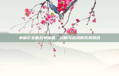 拿破仑全面战争秘籍,战略与战术的完美融合