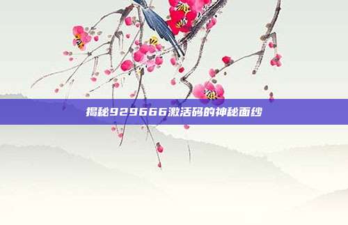 揭秘929666激活码的神秘面纱