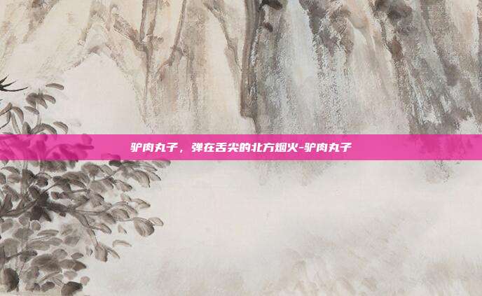 驴肉丸子,弹在舌尖的北方烟火-驴肉丸子