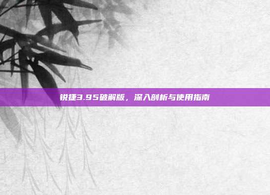 锐捷3.95破解版,深入剖析与使用指南