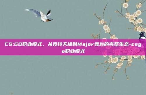 CS:GO职业模式,从竞技天梯到Major舞台的完整生态-csgo职业模式