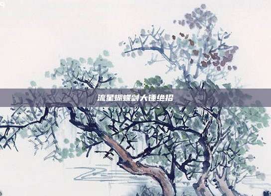 流星蝴蝶剑大锤绝招