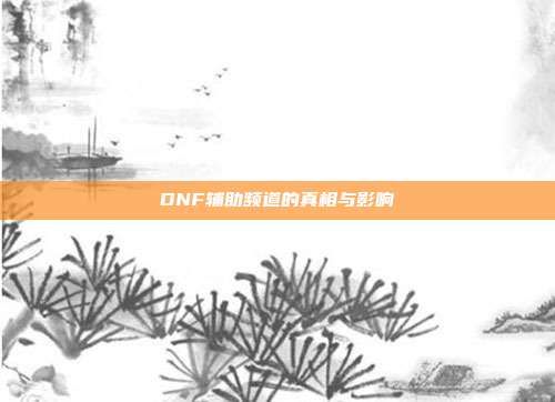 DNF辅助频道的真相与影响