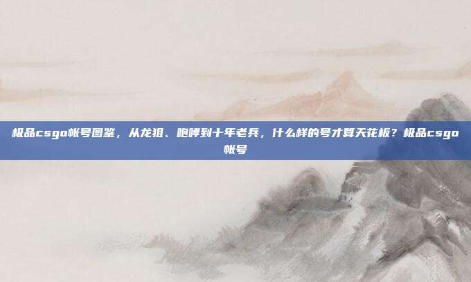 极品csgo帐号图鉴,从龙狙、咆哮到十年老兵,什么样的号才算天花板?极品csgo帐号