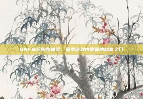 DNF幸运购物抽奖,探索游戏内隐藏的财富之门