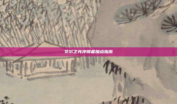 艾尔之光冲锋者加点指南