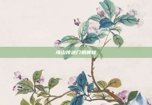 海山传送门的奥秘