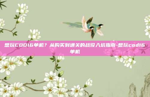 想玩COD16单机?从购买到通关的战役入坑指南-想玩cod16单机