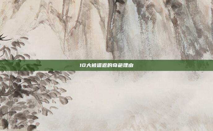 10大被遣返的奇葩理由