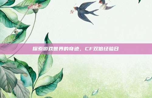 探索游戏世界的奇迹,CF双倍经验日