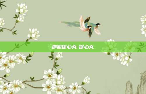 那瓶保心丸-保心丸