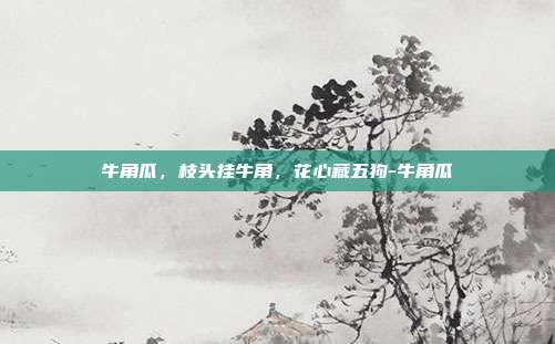 牛角瓜，枝头挂牛角，花心藏五狗-牛角瓜