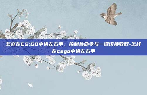 怎样在CS:GO中换左右手，控制台命令与一键切换教程-怎样在csgo中换左右手