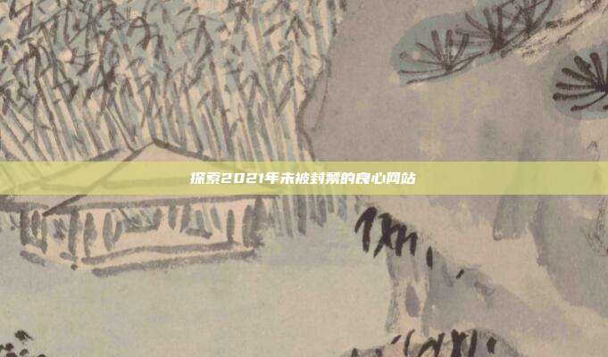 探索2021年未被封禁的良心网站