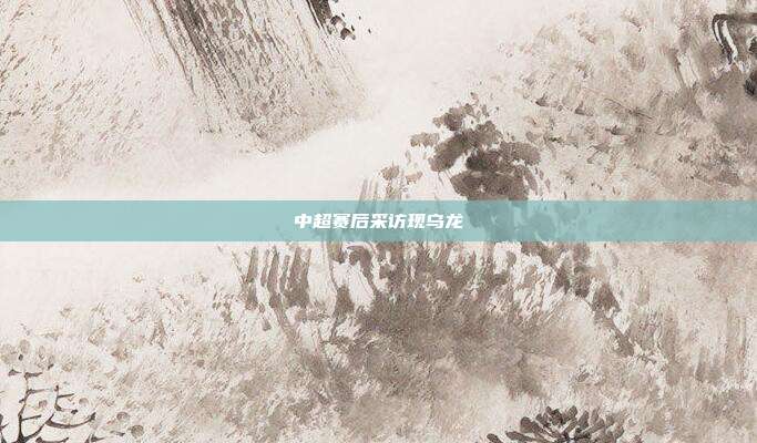 中超赛后采访现乌龙