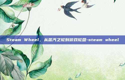 Steam Wheel,从蒸汽之轮到游戏轮盘-steam wheel