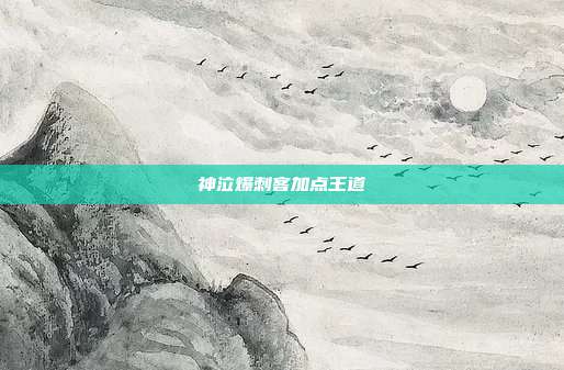 神泣爆刺客加点王道