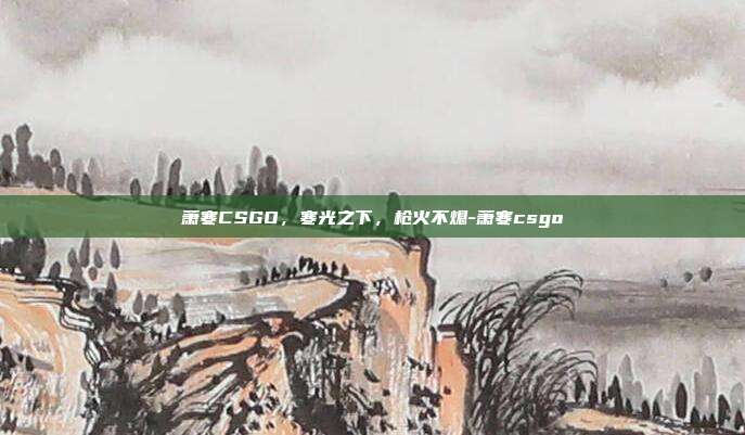 萧寒CSGO,寒光之下,枪火不熄-萧寒csgo
