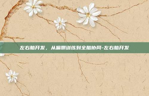 左右脑开发,从偏侧训练到全脑协同-左右脑开发