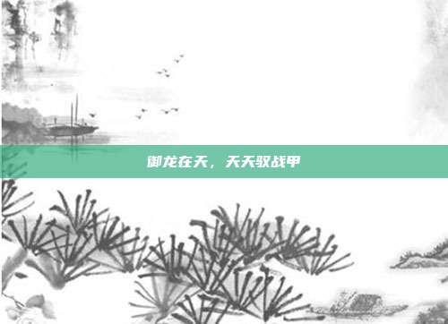 御龙在天,天天驭战甲