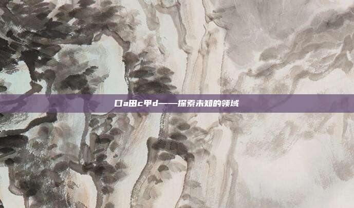 口a田c甲d——探索未知的领域