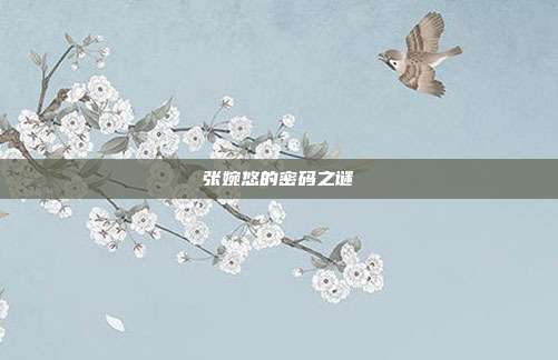 张婉悠的密码之谜