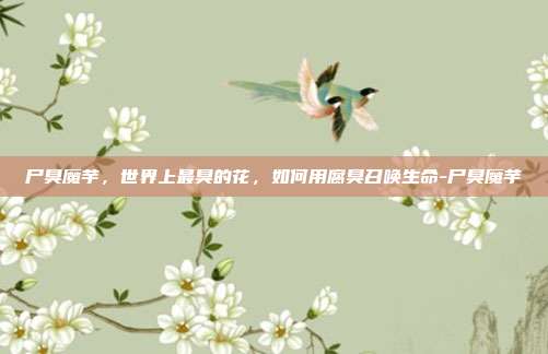 尸臭魔芋,世界上最臭的花,如何用腐臭召唤生命-尸臭魔芋
