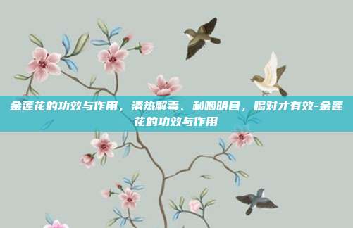 金莲花的功效与作用,清热解毒、利咽明目,喝对才有效-金莲花的功效与作用